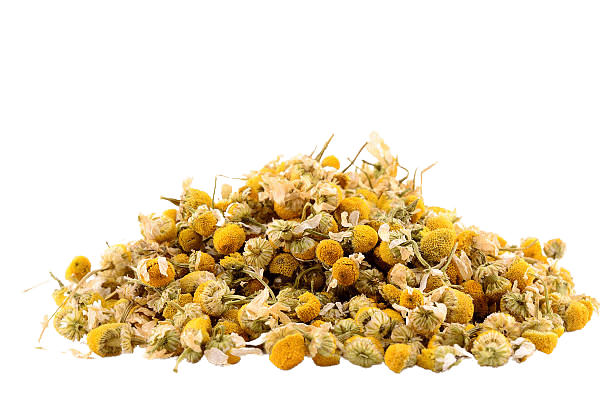 Organic Chamomile Flowers Bulk Supplier Worldwide
