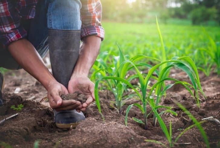 farmers image