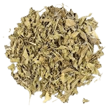 indian basil leaf dry