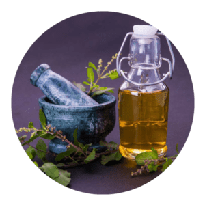 Organic Indian Basil Oil (Ocimum Basilicum Oil)