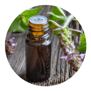 Organic Krishna/Shyama Basil Oil (Ocimum Sanctum Oil)