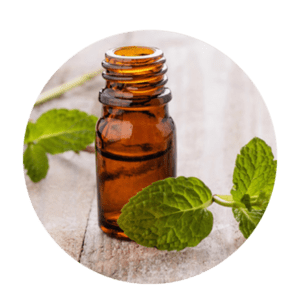 Bergamot Mint Oil (Mentha Citrata Oil)