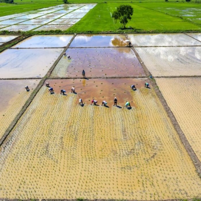 small scale farmers
