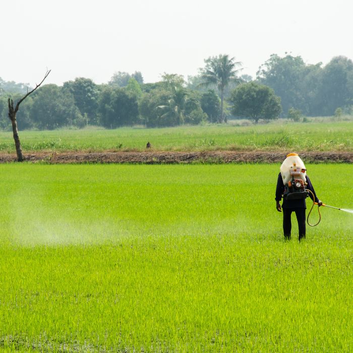 pesticides