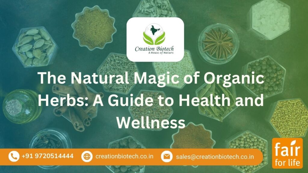 organic herbs