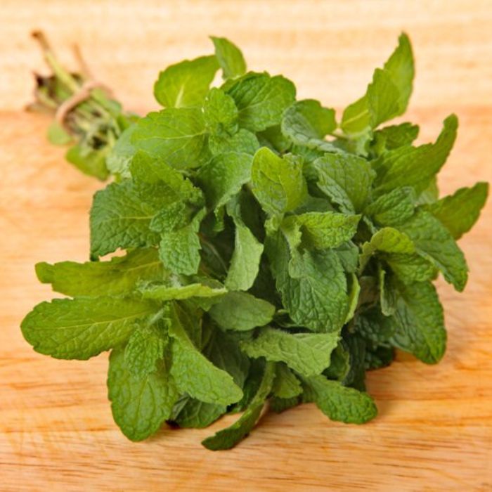 Best mint producer company in India