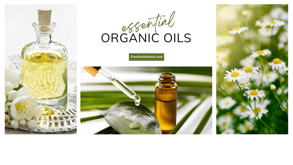 organic essential oils
