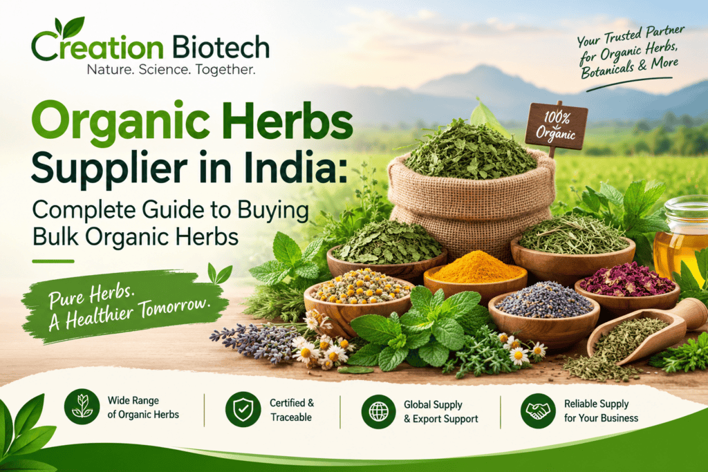 Organic Herbs Supplier in India