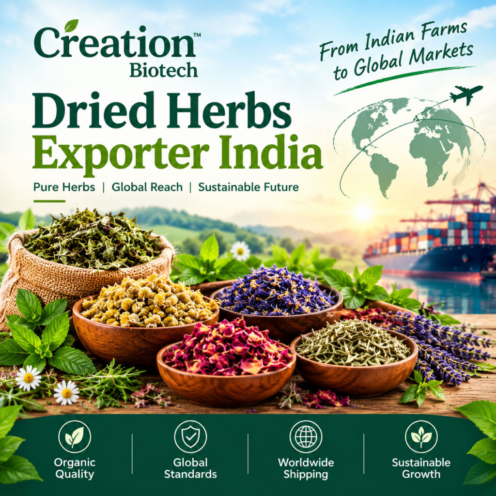 Dried Herbs Exporter in India