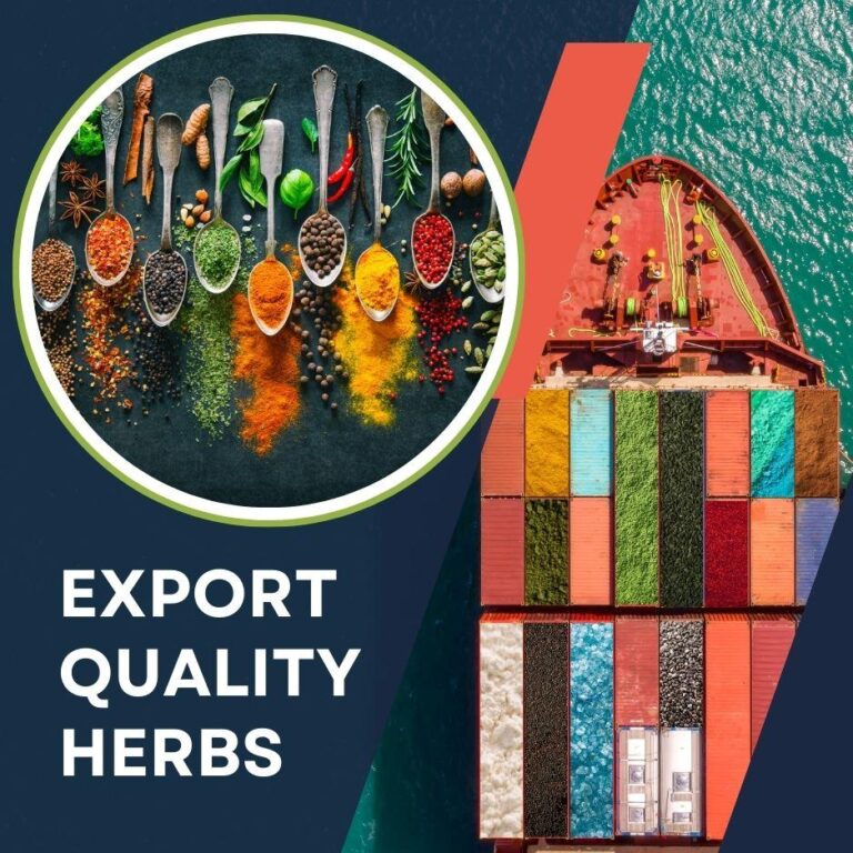Dried Herbs Exporter in India
